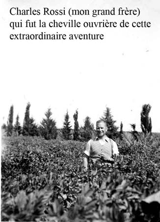 Charles Rossi