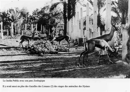 Jardin public